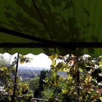 Markizy Kraków - Markizy bez kasety