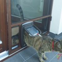 Moskitiery Kraków-  moskitiery drzwiowe z przejściem dla zwierząt domowych