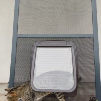 Moskitiery Kraków - moskitiery drzwiowe z przejściem dla zwierząt