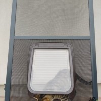 Moskitiery Kraków - moskitiery drzwiowe z przejściem dla zwierząt