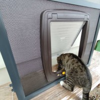 Moskitiery Kraków - moskitiery drzwiowe z przejściem dla zwierząt