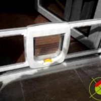 Moskitiery Kraków - moskitiery drzwiowe z przejściem dla zwierząt