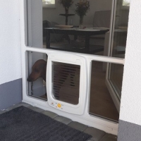 Moskitiery Kraków - moskitiera z przejściem dla kota