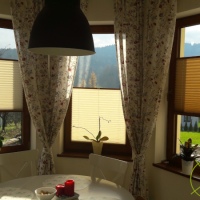 Plisy Kraków  - Plisy