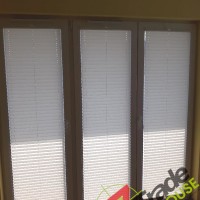 Plisy Kraków  - Plisy