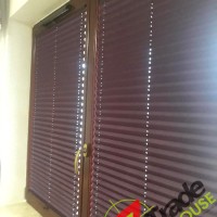 Plisy Kraków  - Plisy