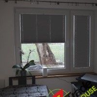 Plisy Kraków  - Plisy