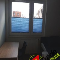 Plisy Kraków  - Plisy