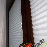 Plisy Kraków  - Plisy