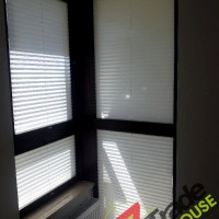 Plisy Kraków  - Plisy