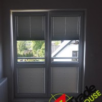 Plisy Kraków  - Plisy