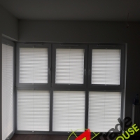 Plisy Kraków  - Plisy