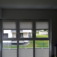 Plisy Kraków  - Plisy