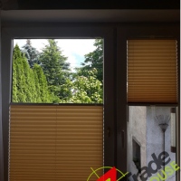 Plisy Kraków  - Plisy