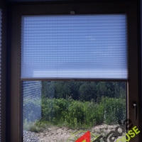 Plisy Kraków  - Plisy