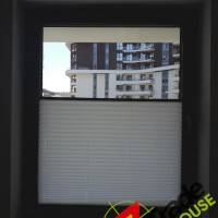 Plisy Kraków  - Plisy