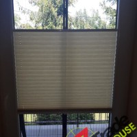 Plisy Kraków  - Plisy