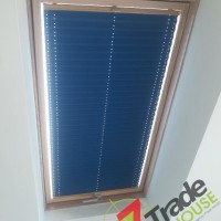 Plisy Kraków  - Plisy