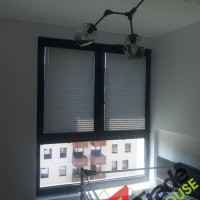 Plisy Kraków  - Plisy