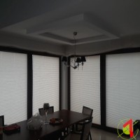 Plisy Kraków  - Plisy