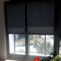 Plisy Kraków  - Plisy