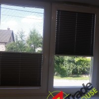 Plisy Kraków  - Plisy