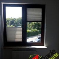 Plisy Kraków  - Plisy