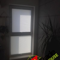 Plisy Kraków  - Plisy