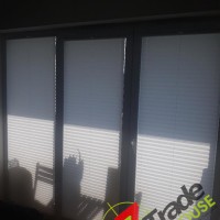 Plisy Kraków  - Plisy