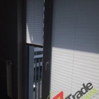 Plisy Kraków  - Plisy