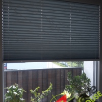 Plisy Kraków  - Plisy