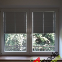 Plisy Kraków  - Plisy