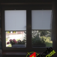 Plisy Kraków  - Plisy