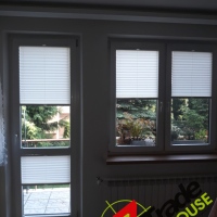 Plisy Kraków  - Plisy