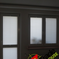 Plisy Kraków  - Plisy