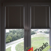 Plisy Kraków  - Plisy