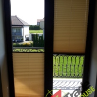 Plisy Kraków  - Plisy