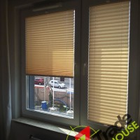 Plisy Kraków  - Plisy