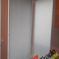 Plisy Kraków  - Plisy