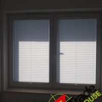 Plisy Kraków  - Plisy