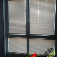 Plisy Kraków  - Plisy