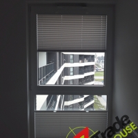 Plisy Kraków  - Plisy