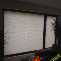 Plisy Kraków  - Plisy