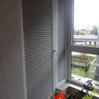 Plisy Kraków  - Plisy