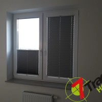 Plisy Kraków  - Plisy