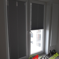 Plisy Kraków  - Plisy