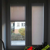 Plisy Kraków  - Plisy