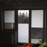 Plisy Kraków  - Plisy