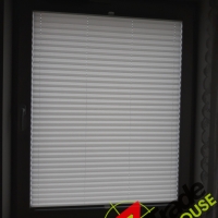 Plisy Kraków  - Plisy