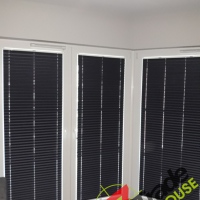 Plisy Kraków  - Plisy